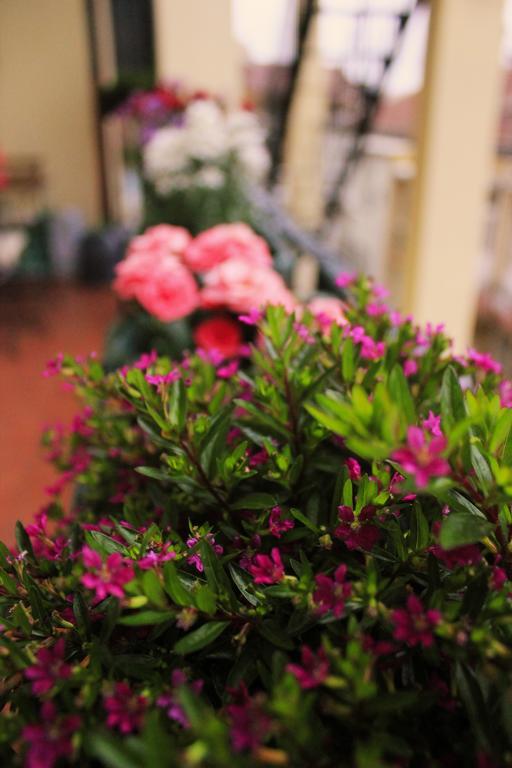 Guest House Foreign Friend Lisbon Guest house 3*